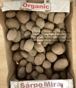 Organic Sarpo Mira Seed Potato